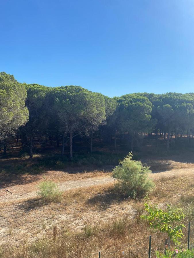 Studio Cabine Mer Et Pinede 26M2: 4Pers, Neuf, Cosy La Grande Motte Dış mekan fotoğraf